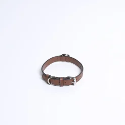 Hot COLLAR | Halsbanden