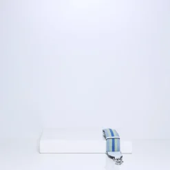 Fashion STRAP 2.2 | POWDER BLUE Alle Accessoires